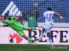 爱游戏官网-关于意甲倒计时，亚特兰大加时末段扳平良机，细节引发关注，悬念犹存，数据趋势出现新变化的信息